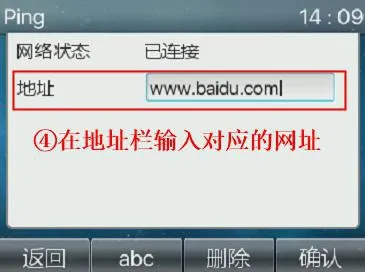 在话机Ping工具中输入网址