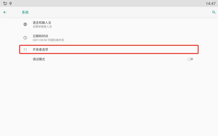 开发者选项页面