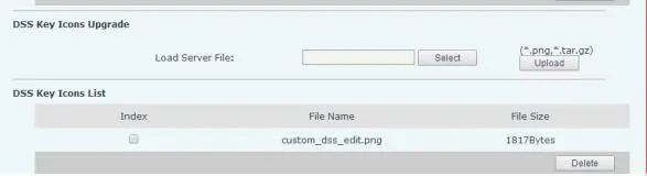 自定义 DSSkey 图标升级